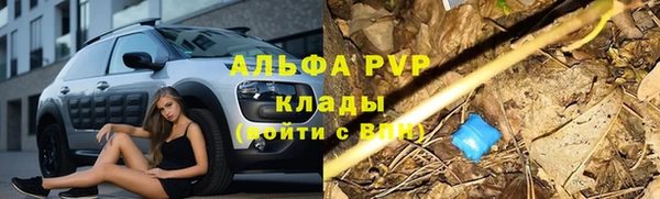 ПСИЛОЦИБИНОВЫЕ ГРИБЫ Лагань