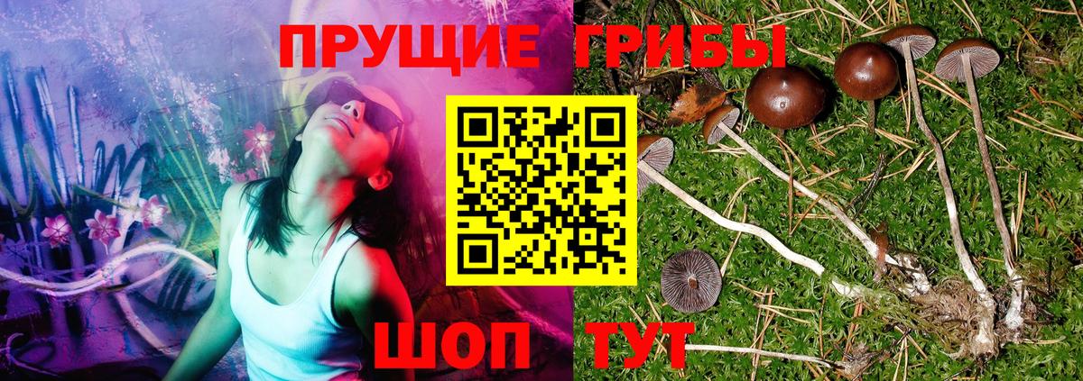 Псилоцибиновые грибы мухоморы  Псилоцибиновые грибы Psilocybe  Кузнецк  Вход с VPN 